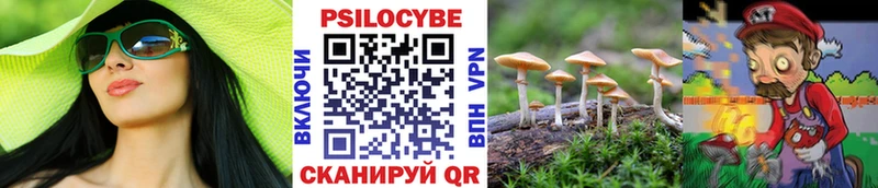 Псилоцибиновые грибы мицелий  Катайск 