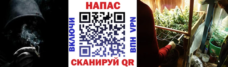 Бошки марихуана AK-47  blacksprut маркетплейс  Катайск  как найти закладки 